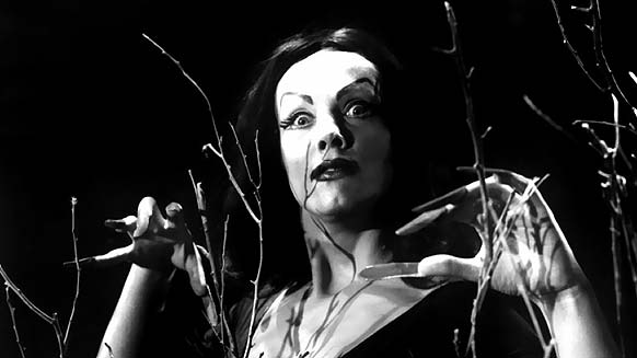 Vampira in Plan 9 From Outer Space