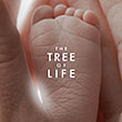 TEST : The Tree of Life - Blu-ray