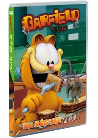 Garfield & Cie - Vol. 16 : Un régime au poil ! - DVD