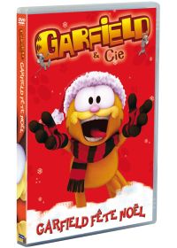 Garfield & Cie - Vol. 15 : Garfield fête Noël - DVD