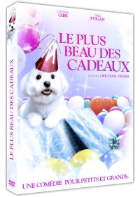 Le Plus beau des cadeaux - DVD