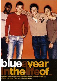 Blue - A Year In The Life Of - DVD