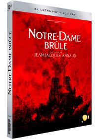 Notre-Dame brûle