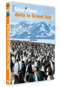 Une fleur dans le Grand Sud - DVD