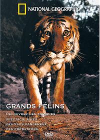 National Geographic - Grands félins - DVD