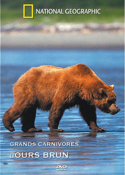 National Geographic - Grands carnivores : l'ours brun - DVD