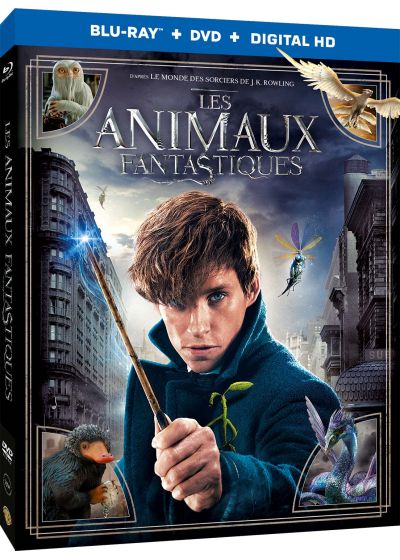 Les Animaux fantastiques (Combo Blu-ray + DVD) - Blu-ray