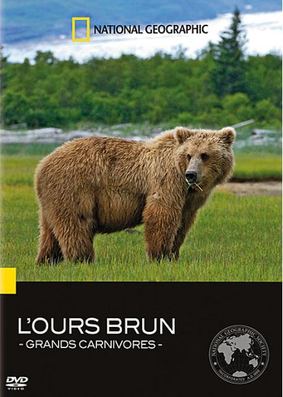 National Geographic - Grands carnivores : l'ours brun - DVD