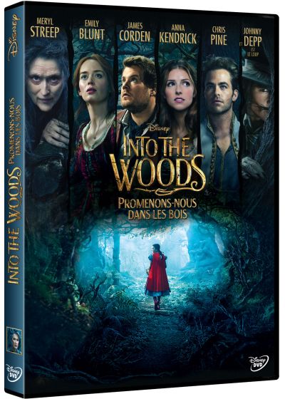 Into the Woods : Promenons-nous dans les bois - DVD