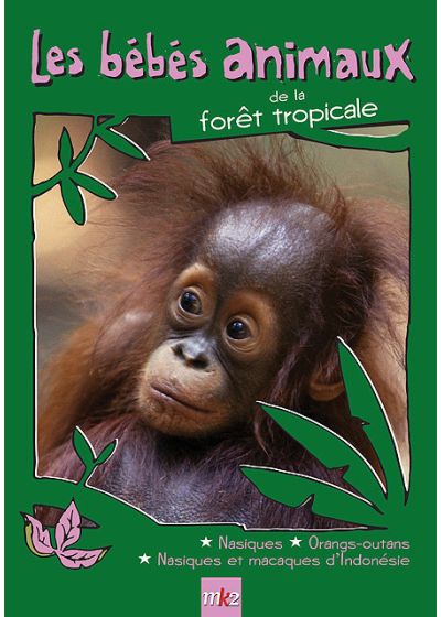Les Bébés animaux des forêts tropicales - DVD