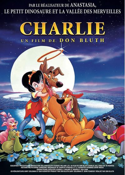 Charlie mon héros - DVD