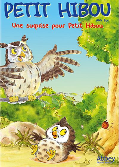 Petit Hibou - Une surprise pour petit hibou - DVD
