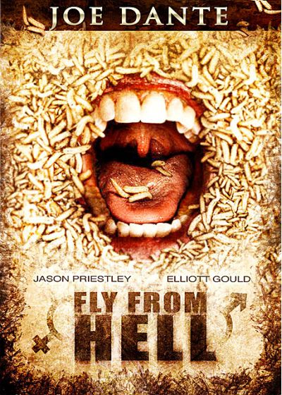 Fly From Hell - DVD