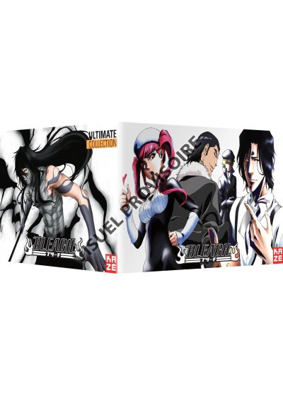 Bleach - Ultimate Collection Part 2/2 : Saisons 4 à 6 + Films 3 et 4 (Édition Limitée) - DVD