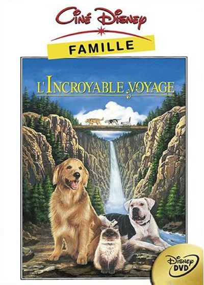 L'Incroyable voyage - DVD