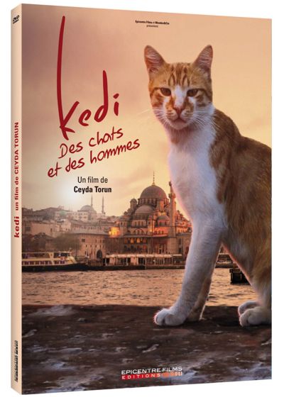 Kedi - Des chats et des hommes - DVD
