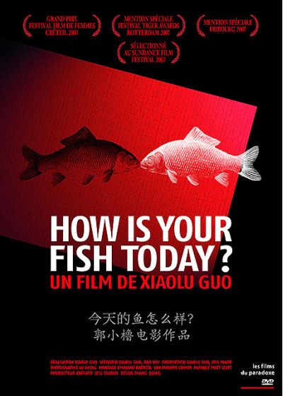 How Is Your Fish Today? - DVD