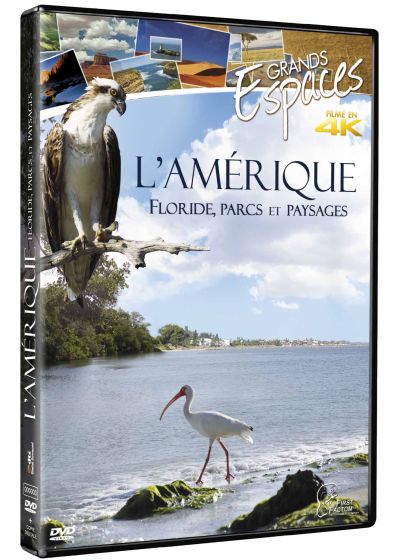 L'Amérique : Floride, parcs et paysages (DVD + Copie digitale) - DVD