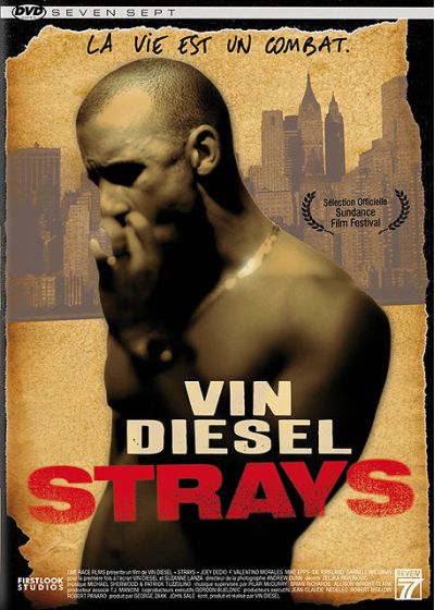 Strays - DVD