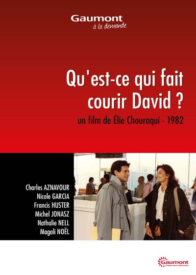 Qu'est-ce qui fait courir David ? - DVD