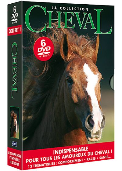 La Collection cheval - Coffret 1 - DVD