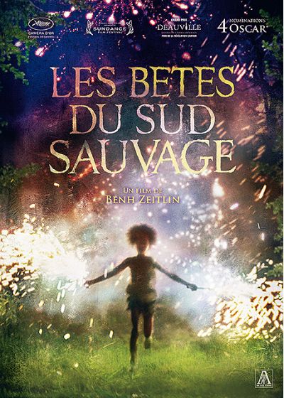 Les Bêtes du Sud sauvage - DVD