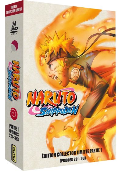 Naruto Shippuden - Intégrale Partie 1 (Édition Collector Limitée A4) - DVD