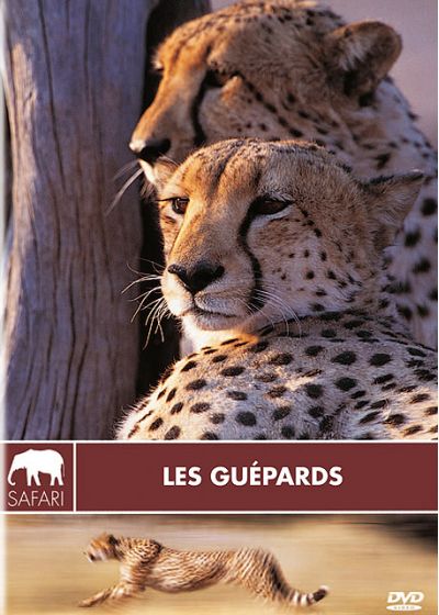 Les Guépards - DVD