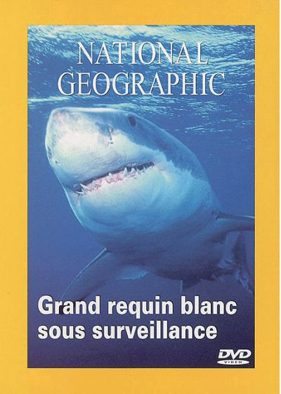 National Geographic - Les grands requins blancs - DVD