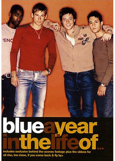 Blue - A Year In The Life Of - DVD