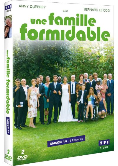 Une famille formidable - Saison 14 - DVD