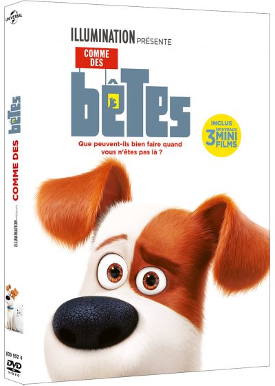 Comme des bêtes (DVD + Copie digitale) - DVD