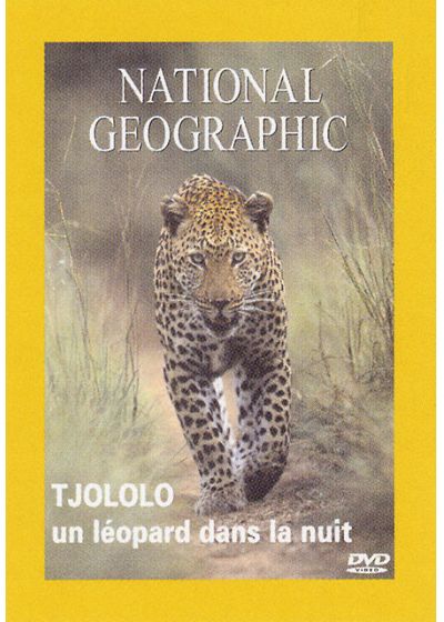 National Geographic - Tjololo, un léopard dans la nuit - DVD