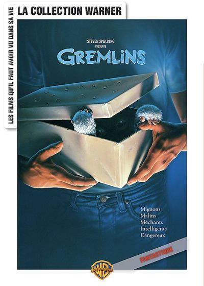 Gremlins (WB Environmental) - DVD