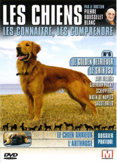 Les Chiens : Les connaître, les comprendre - Vol. 6 - DVD