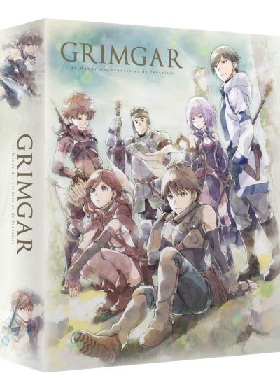 Grimgar : Le monde des cendres et de fantaisie (Édition Collector) - Blu-ray