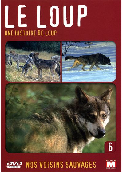 Nos voisins sauvages Vol. 6 - Le loup : Une histoire de loup - DVD