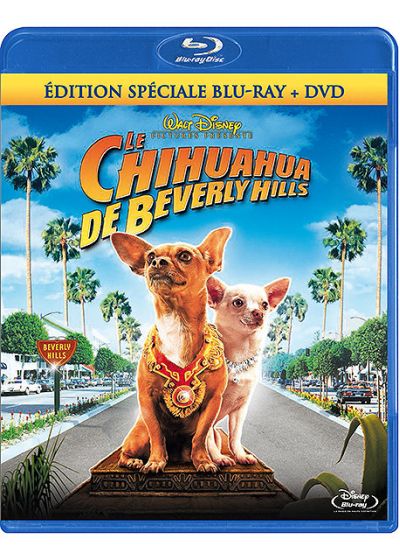 Le Chihuahua de Beverly Hills (Combo Blu-ray + DVD) - Blu-ray