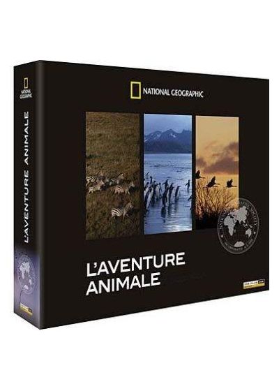 L'Aventure aimale : Les grandes migrations (Combo Blu-ray + DVD) - Blu-ray
