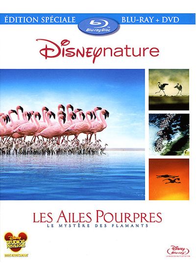 Les Ailes pourpres : le mystère des flamants (Combo Blu-ray + DVD) - Blu-ray
