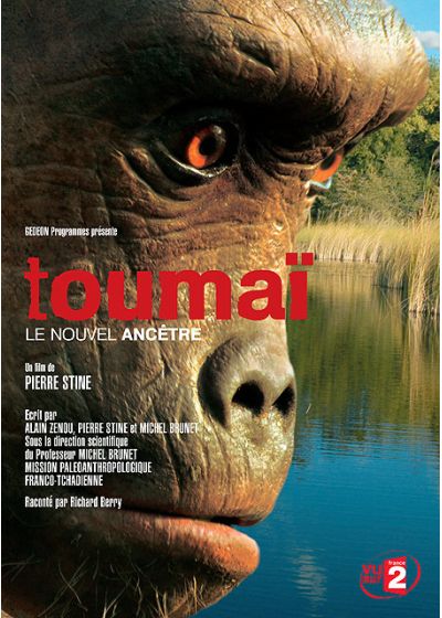 Toumaï, le nouvel ancêtre - DVD