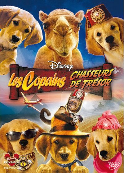 Les Copains chasseurs de trésor - DVD
