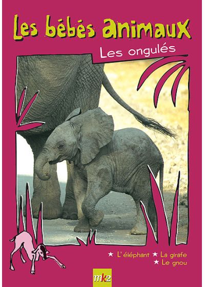 Les Bébés animaux - Les ongulés - DVD