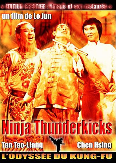 Ninjas Thunderkicks (Édition Prestige) - DVD