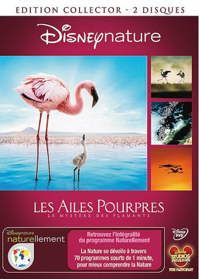 Les Ailes pourpres : le mystère des flamants (Édition Collector) - DVD