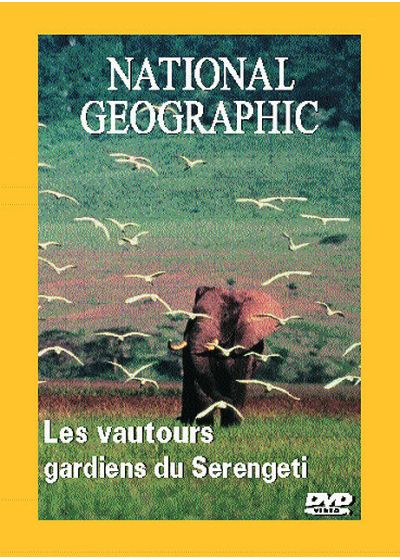 National Geographic - Les vautours, gardiens du Seregenti - DVD