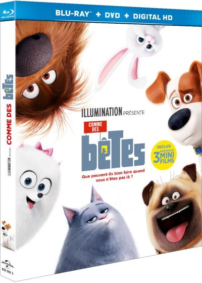 Comme des bêtes (Combo Blu-ray + DVD + Copie digitale) - Blu-ray