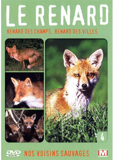 Nos voisins sauvages Vol. 4 - Le renard : Renard des champs, renard des villes - DVD