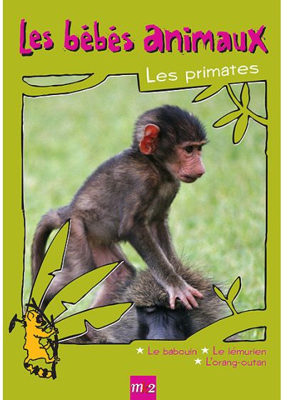 Les Bébés animaux - Les primates - DVD