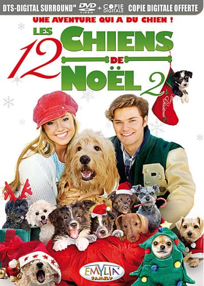 Les 12 chiens de Noël 2 (DVD + Copie digitale) - DVD